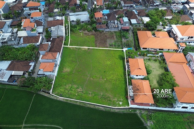 Terreno de 20 Are con vistas a los arrozales en Buduk / North Padonan, Canggu, Padonan